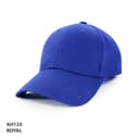 AH125 PET/Cotton Cap